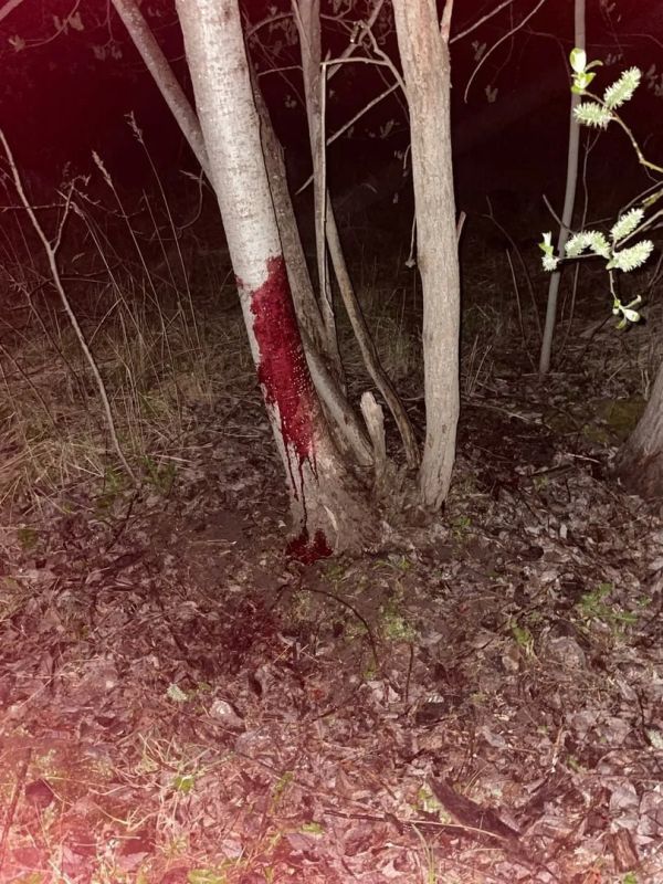 В Псковском городском суде состоялось очередное судебное заседание по рассмотрению уголовного дела в отношении жителя г. Пскова Епископосяна, обвиняемого в жестоком обращении с собакой по кличке «Мия» В Псковском городском суде состоялось очередное судебное заседание по рассмотрению уголовного дела в отношении жителя г. Пскова Епископосяна, обвиняемого в жестоком обращении с собакой по кличке «Мия»