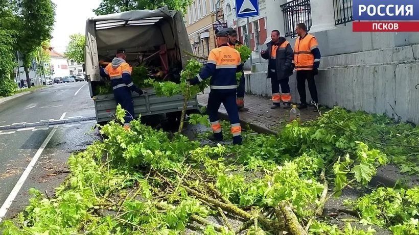 Шквалистый ветер и ливни в Пскове: деревья не выдержали удара стихии Шквалистый ветер и ливни в Пскове: деревья не выдержали удара стихии