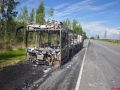 Скелетированные останки автобуса на трассе в Псковской области