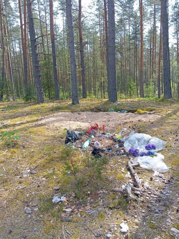 Жителей Стругокрасненского округа призвали поддерживать порядок на кладбищах