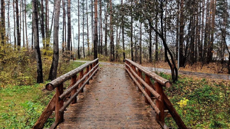Елкин Борис: Город стремительно преображается, в частности обновляются парки, дворы и дороги Елкин Борис: Город стремительно преображается, в частности обновляются парки, дворы и дороги