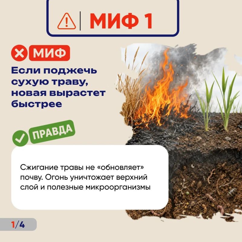 В тёплое время года тема природных пожаров становится особенно актуальной В тёплое время года тема природных пожаров становится особенно актуальной