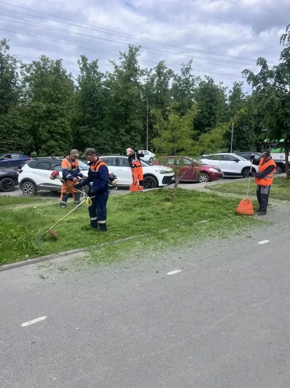 Елкин Борис: Продолжаем тщательно следить за чистотой и ухоженностью города Елкин Борис: Продолжаем тщательно следить за чистотой и ухоженностью города