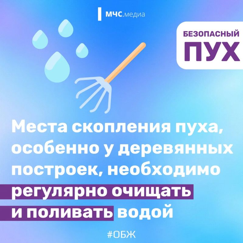 Тополиный пух, огонь, пожар Тополиный пух, огонь, пожар