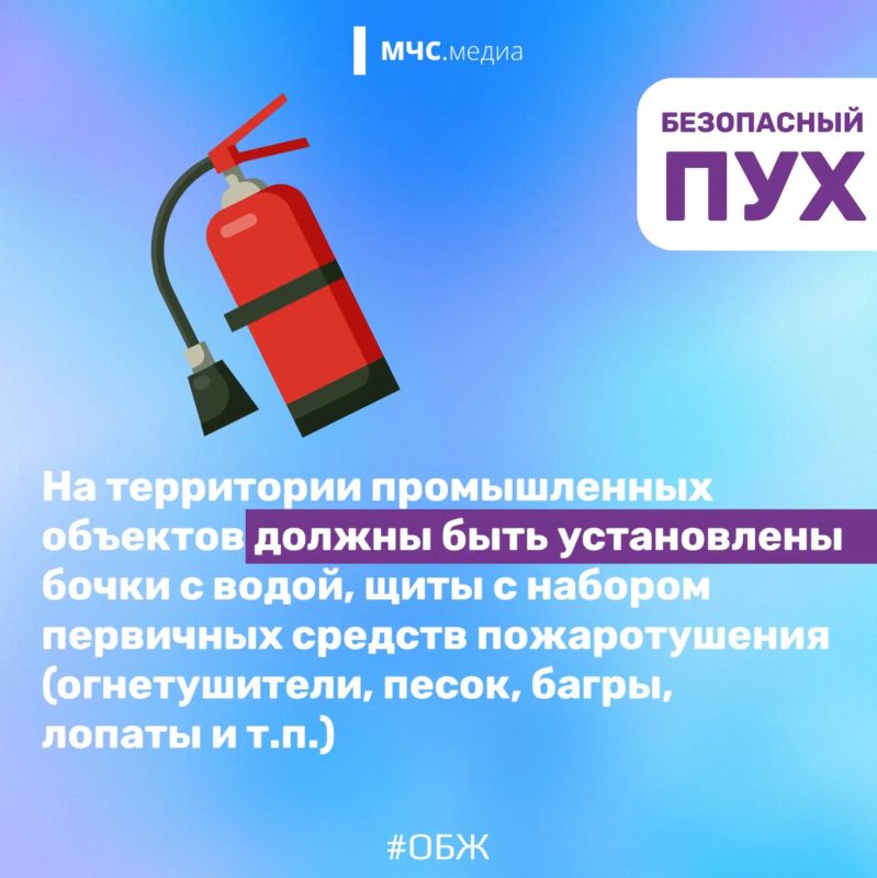 Тополиный пух, огонь, пожар Тополиный пух, огонь, пожар