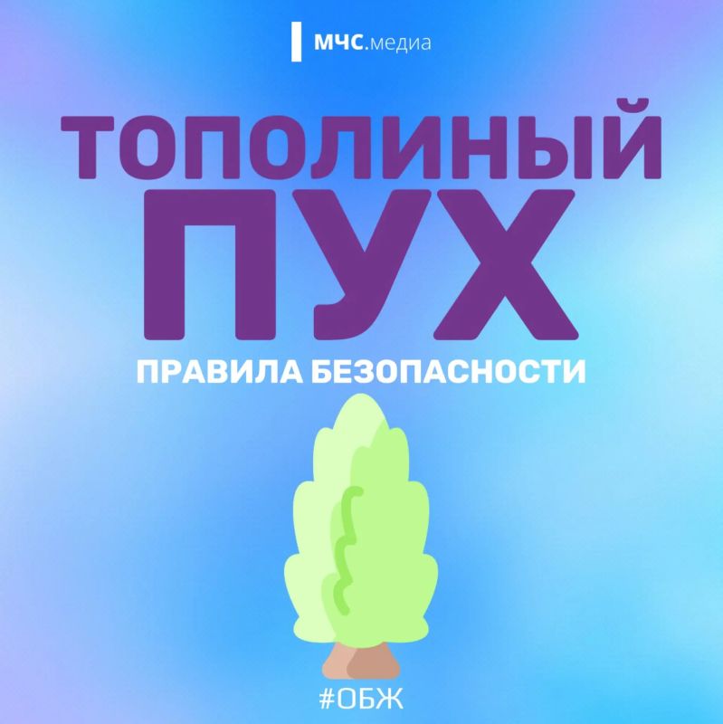 Тополиный пух, огонь, пожар Тополиный пух, огонь, пожар