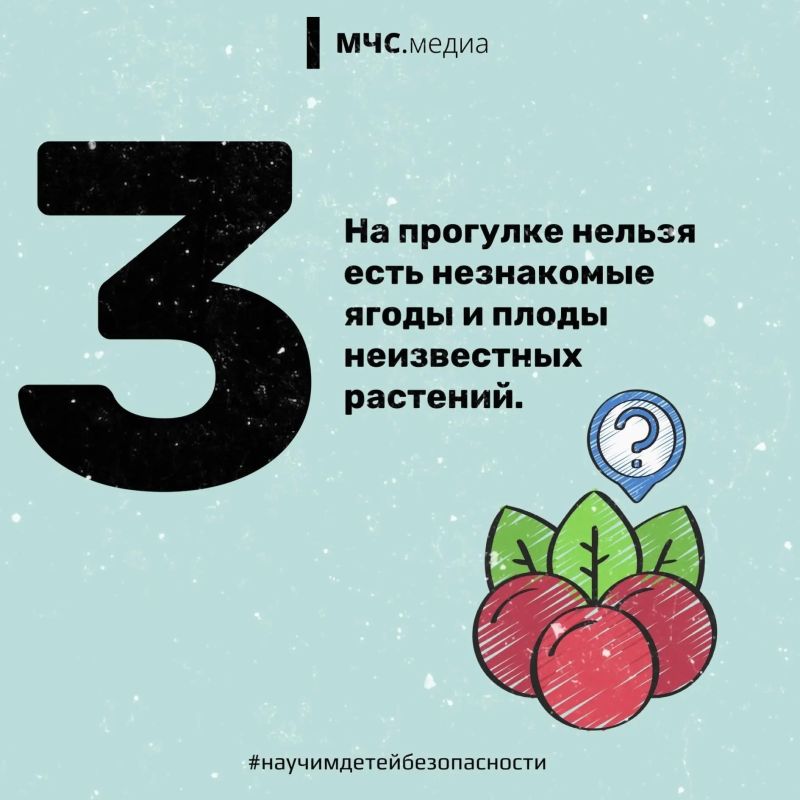 Основные правила поведения в летнем лагере Основные правила поведения в летнем лагере
