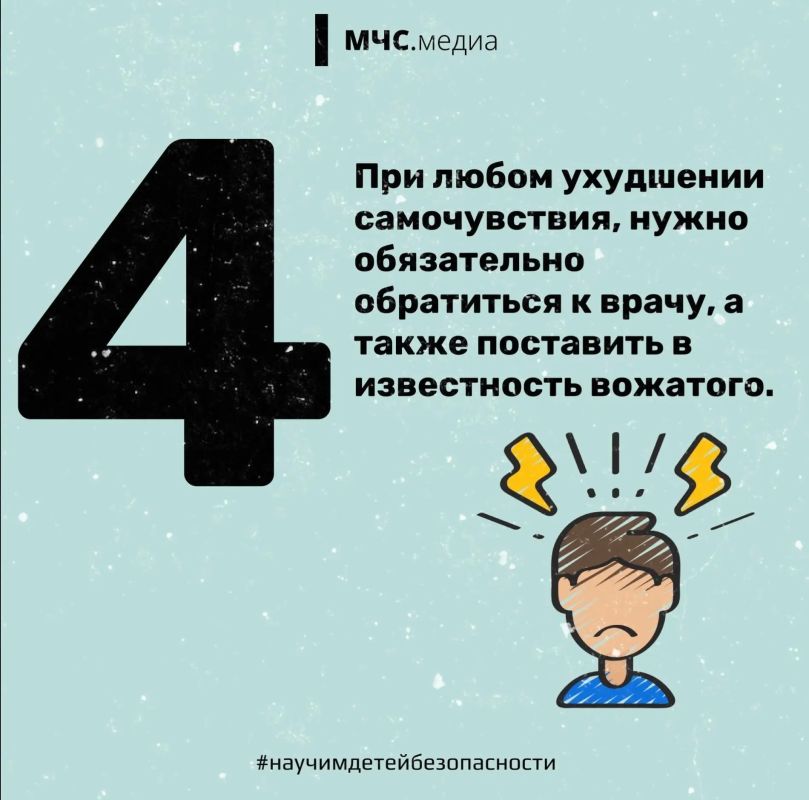 Основные правила поведения в летнем лагере Основные правила поведения в летнем лагере