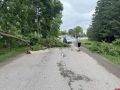 В Палкинском округе ветер оставил жителей без света