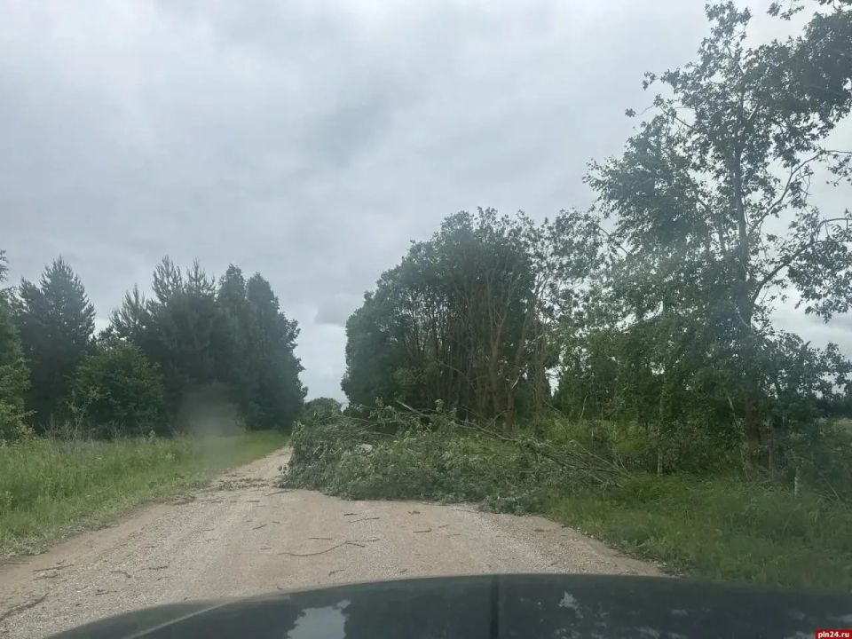 В Палкинском округе ветер оставил жителей без света В Палкинском округе ветер оставил жителей без света