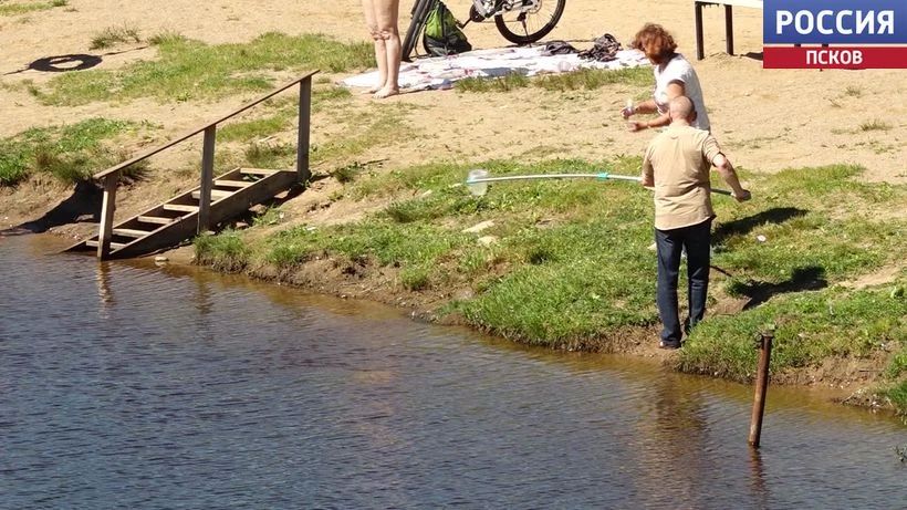 На семи пляжах Псковской области вода признана пригодной для купания На семи пляжах Псковской области вода признана пригодной для купания