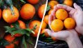 Как быстро сделать кислые мандарины сладкими: простые методы