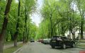 «Паркон» против парковки «елочкой»: «Кто не спрятался, я не виноват»