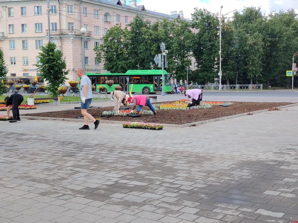 Цветы высаживают на возрожденной клумбе возле ПсковГУ Цветы высаживают на возрожденной клумбе возле ПсковГУ