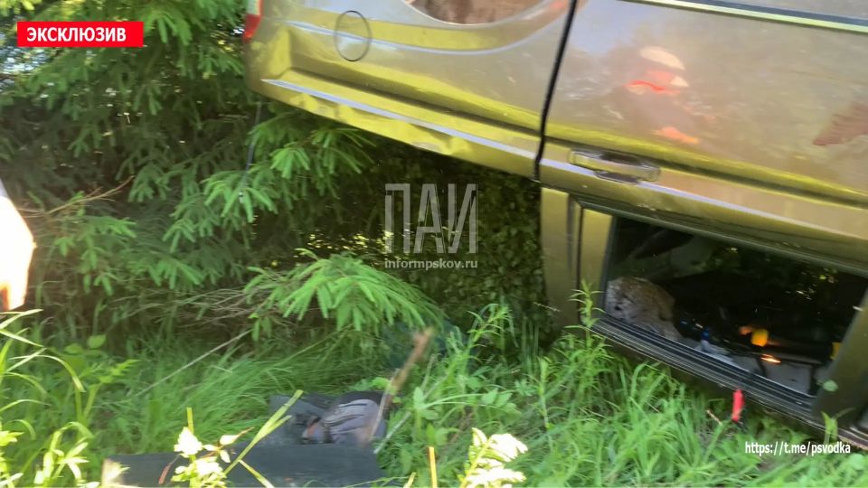 В Псковском районе, у деревни Стяглы, водитель автомобиля SsangYong не справился с управлением, вылетел в кювет через встречную полосу и допустил опрокидывание В Псковском районе, у деревни Стяглы, водитель автомобиля SsangYong не справился с управлением, вылетел в кювет через встречную полосу и допустил опрокидывание