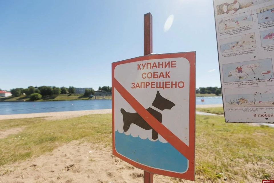 Пляжный Псков. Лето в Псковской области, наконец-то, вступает в свои права Пляжный Псков. Лето в Псковской области, наконец-то, вступает в свои права