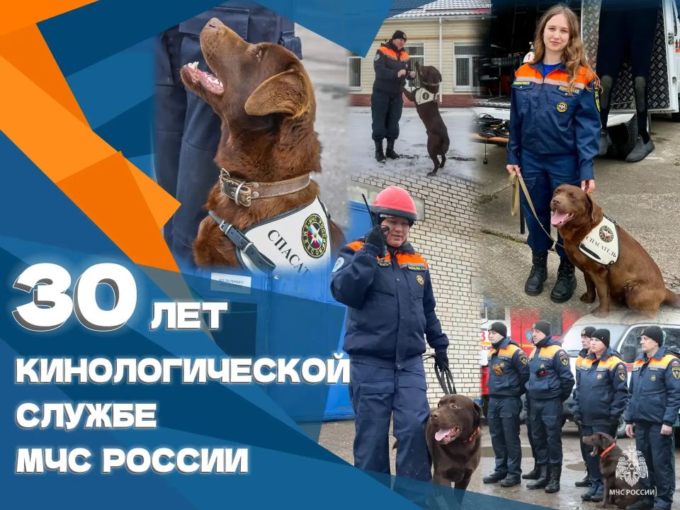 Кинологическая служба МЧС празднует 30-летие со дня своего основания сегодня, 20 июня