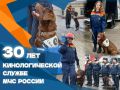 Кинологическая служба МЧС празднует 30-летие со дня своего основания сегодня, 20 июня