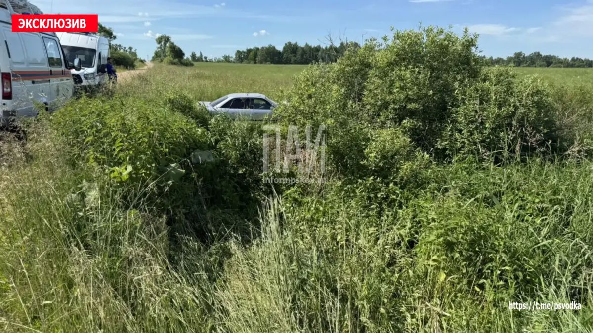 В Куньинском районе, у деревни Ступино, водитель автомобиля Audi не справился с управлением и допустил съезд в кювет В Куньинском районе, у деревни Ступино, водитель автомобиля Audi не справился с управлением и допустил съезд в кювет