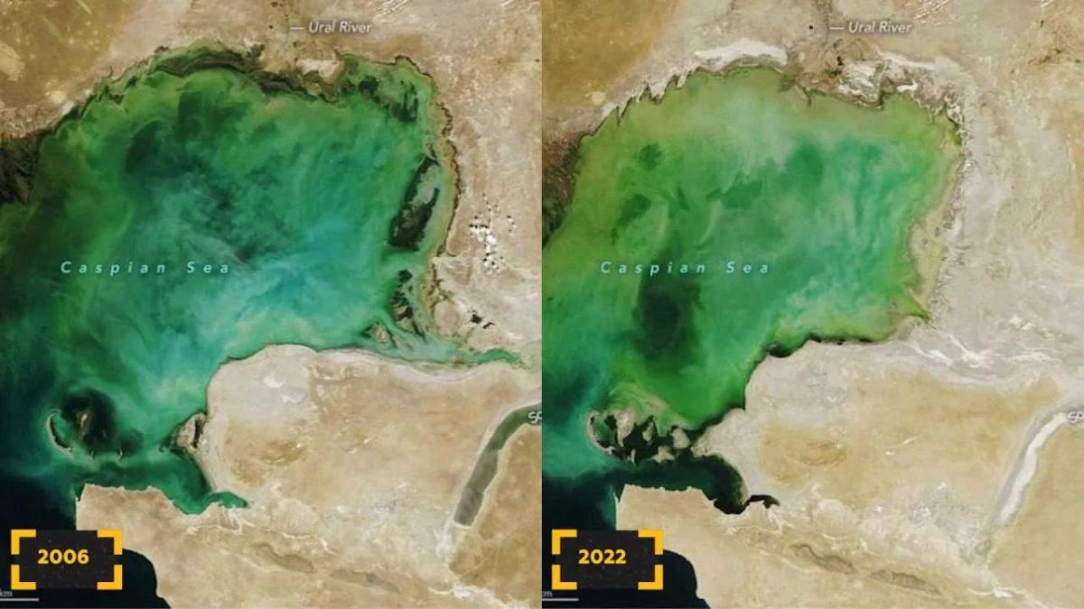 Каспийское море стремительно уменьшится и обмельчает в ближайшие 5–10 лет Каспийское море стремительно уменьшится и обмельчает в ближайшие 5–10 лет