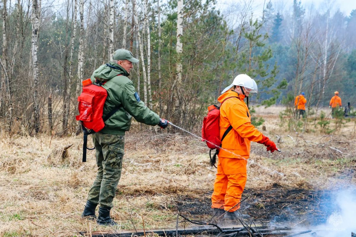 Добровольные пожарные: важное звено в системе МЧС России Добровольные пожарные: важное звено в системе МЧС России