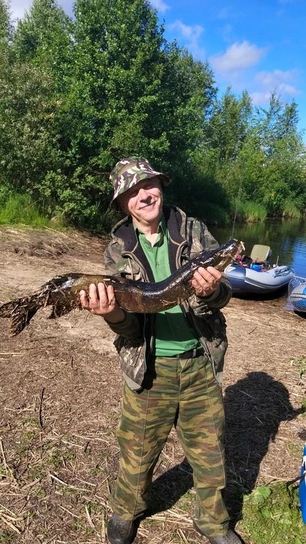 Здесь рыба есть: судачий сезон начался на Чудском озере