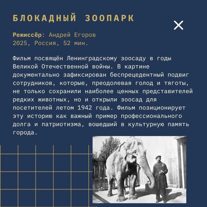 От археологии до Нюрнберга: на фестивале "Западные Ворота" покажут фильмы об истории России