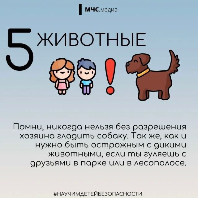 Городские приключения без взрослых Городские приключения без взрослых