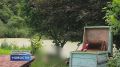 Сводка чрезвычайных происшествий