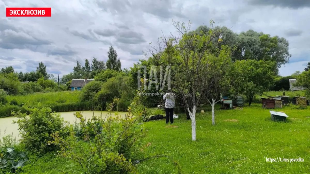 В Локнянском районе, в деревне Козино, в пруду местный житель, мужчина примерно 70 лет, упал в воду и утонул
