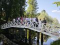 Пушкинские Горы: по следам великого поэта