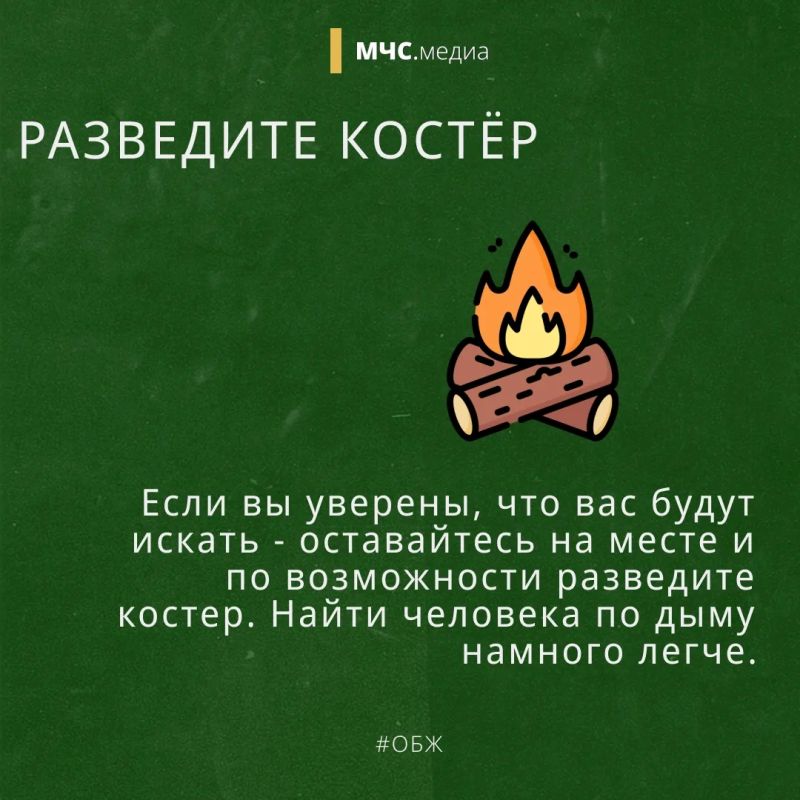 Заблудился в лесу? Не паникуй! Заблудился в лесу? Не паникуй!