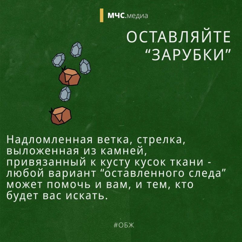 Заблудился в лесу? Не паникуй! Заблудился в лесу? Не паникуй!