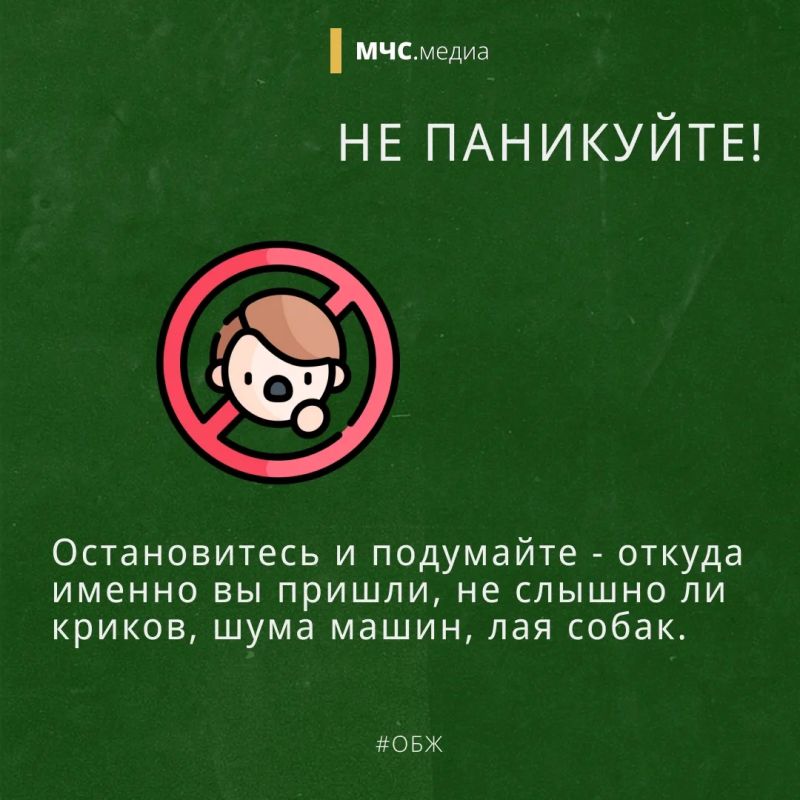 Заблудился в лесу? Не паникуй! Заблудился в лесу? Не паникуй!