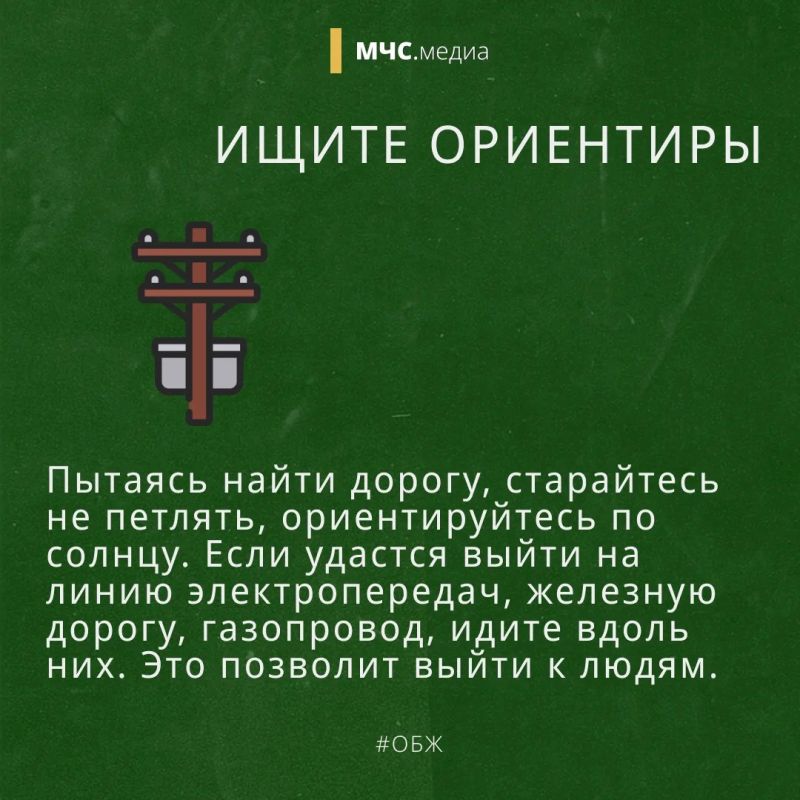 Заблудился в лесу? Не паникуй! Заблудился в лесу? Не паникуй!