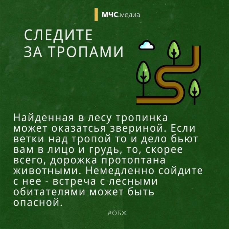 Заблудился в лесу? Не паникуй! Заблудился в лесу? Не паникуй!