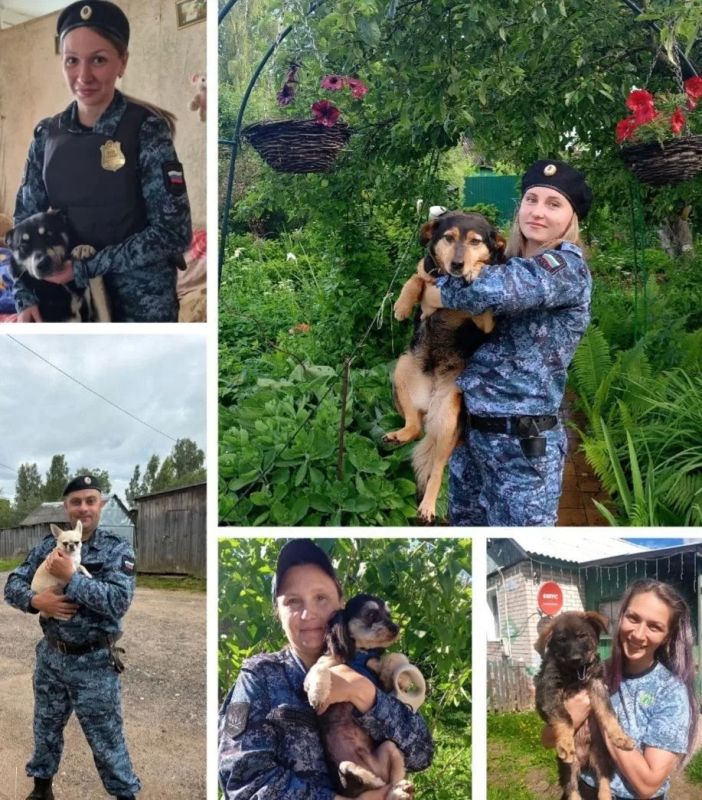Судебные приставы показали четвероногих помощников