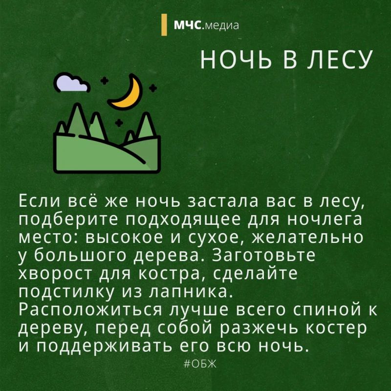 Заблудился в лесу? Не паникуй! Заблудился в лесу? Не паникуй!