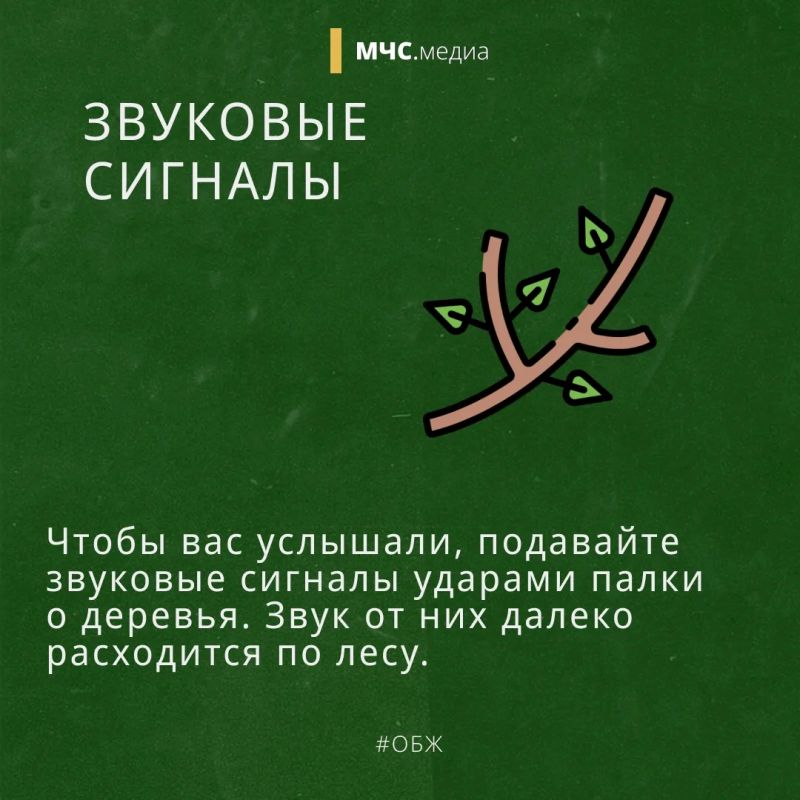 Заблудился в лесу? Не паникуй! Заблудился в лесу? Не паникуй!