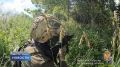 Сводка чрезвычайных происшествий