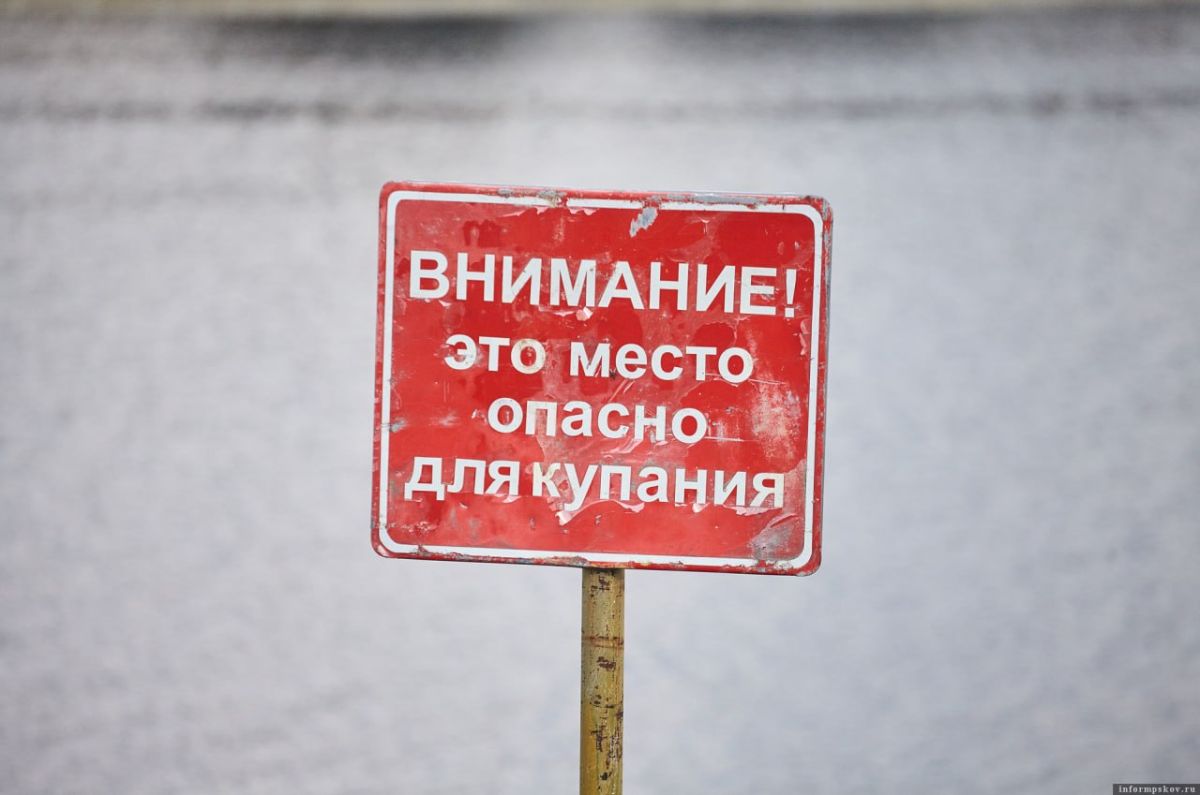Вода на двух пляжах в Псковской области оказалась непригодна для купания