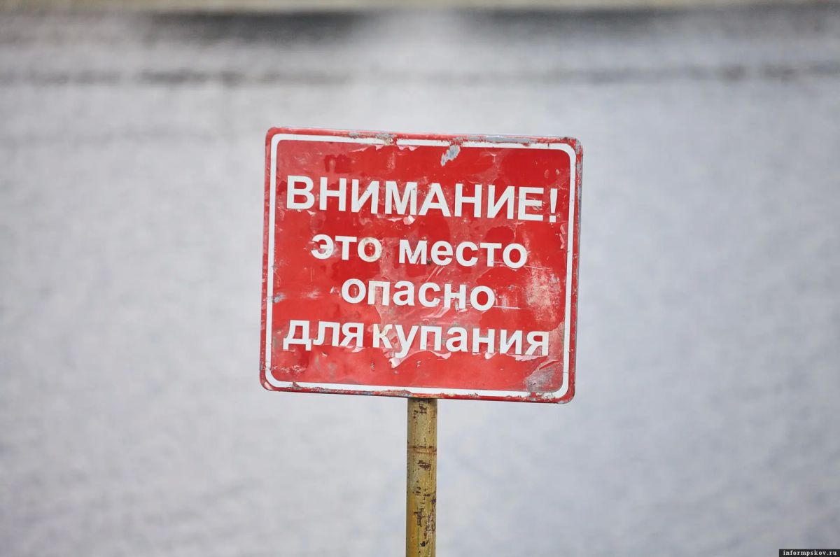 Купаться можно не везде: два пляжа в области оказались непригодны для отдыха из-за качества воды