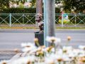 Всем доброго солнечного утра!