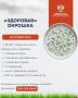 Как приготовить более полезную окрошку, рассказали псковские медики