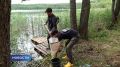 Сколько краснокнижных птенцов появилось этим летом? Какая рыба самая ценная и где находится самое чистое озеро? Ответы на эти и другие вопросы искали волонтёры Школы Фонда Владимира Потанина на территории Себежского...