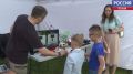 В Псковской области стартовал конкурс социальных проектов для молодых семей