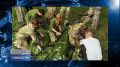 Новости из южной части региона