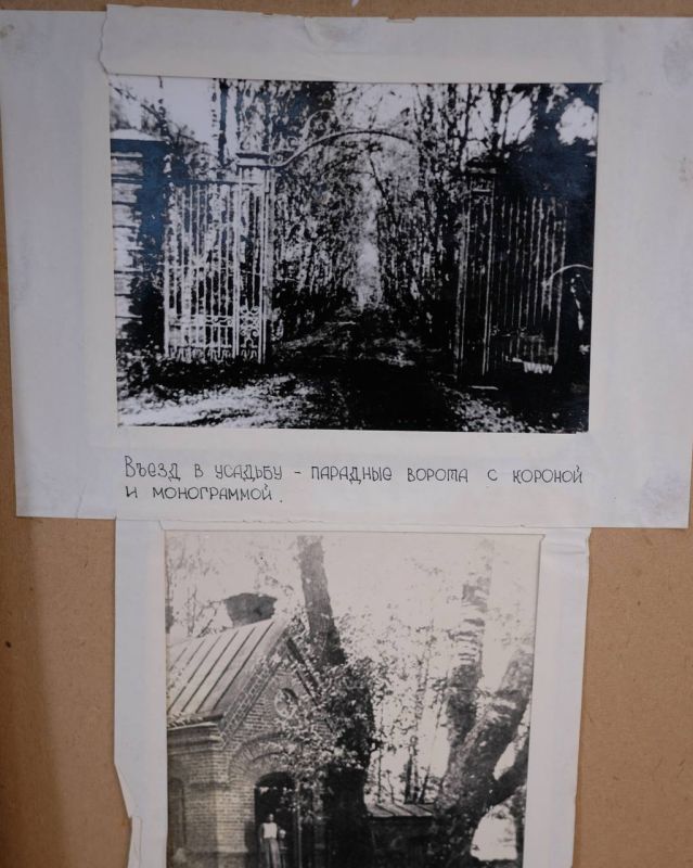Найденный фотоальбом раскрыл новые страницы истории усадьбы Строгановых в Псковской области Найденный фотоальбом раскрыл новые страницы истории усадьбы Строгановых в Псковской области