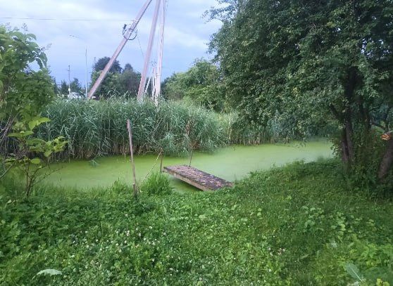 Полуторагодовалый малыш утонул в пруду в Бежаницах, сообщили ПАИ в пресс-службе СУ СК РФ по Псковской области