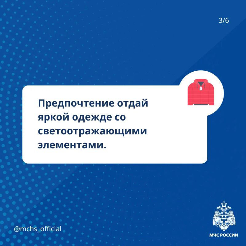 Собираем грибы и ягоды без риска Собираем грибы и ягоды без риска